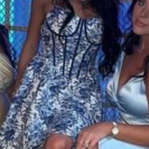 Blue and white vintage dress